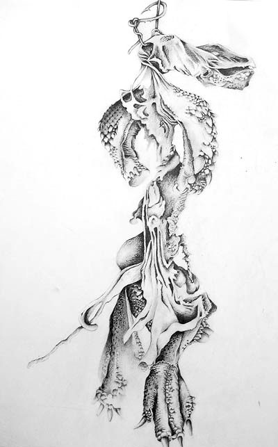 Bones and Roots &mdash; Celia de Villiers