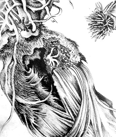 Bones and Roots &mdash; Celia de Villiers