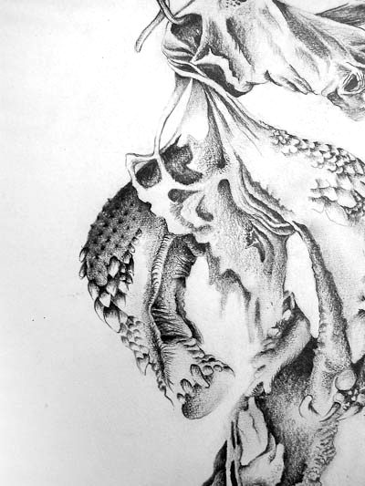 Bones and Roots &mdash; Celia de Villiers