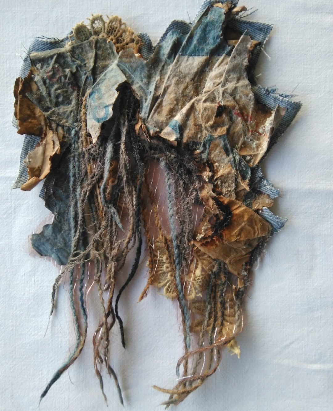 Re-rooting &mdash; Celia de Villiers